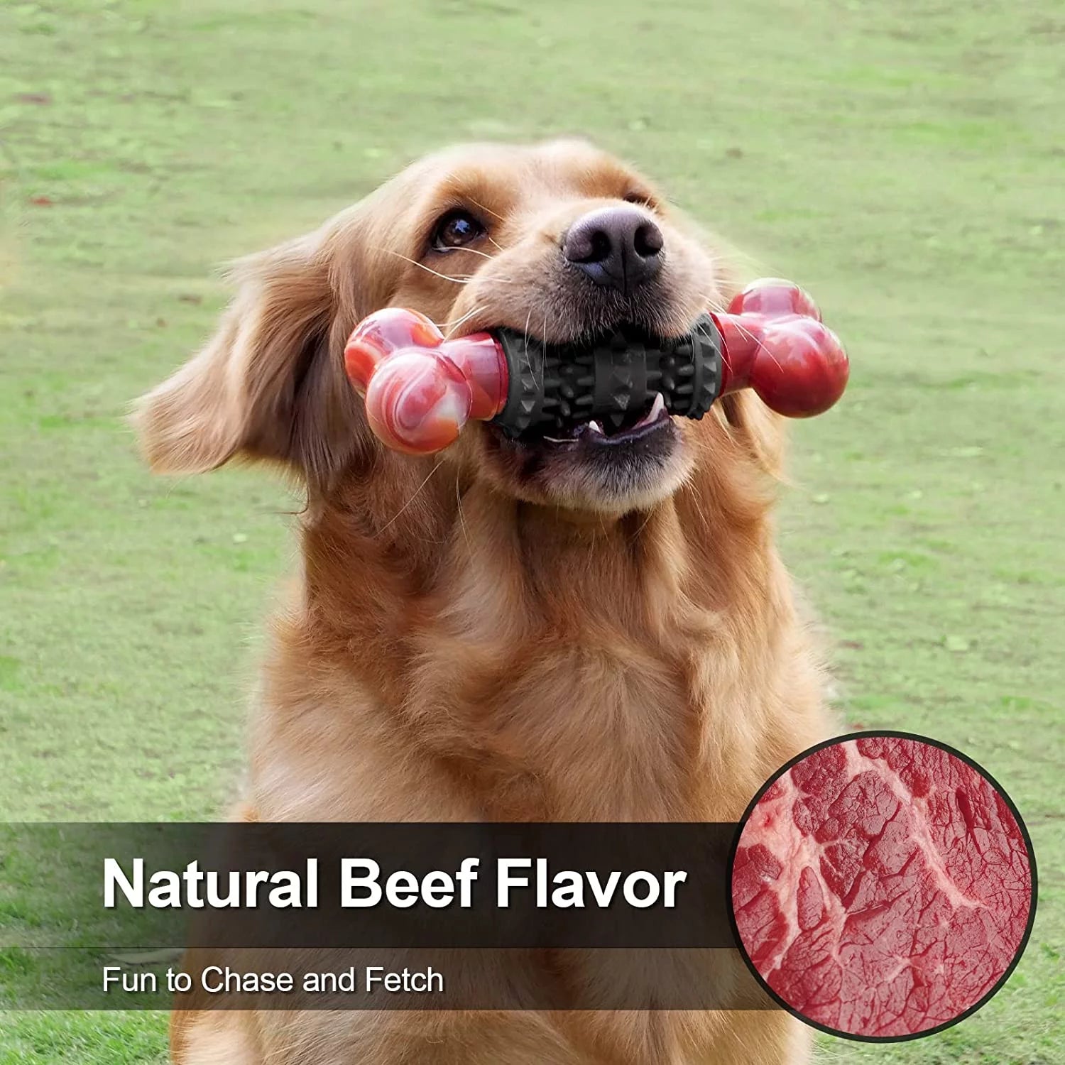 Durable Interactive Dog Toy for Aggressive Chewers - Indestructible Bone Design for Medium to Large Dogs by Dinosam