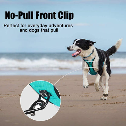 Medium No-Pull Dog Harness with Reflective Vest, Front Clip & Handle | Adjustable, Breathable Oxford Material, Soft Padding, Easy On/Off Design, Two Leash D-Rings, Ideal for Walking and Training, Mint Blue