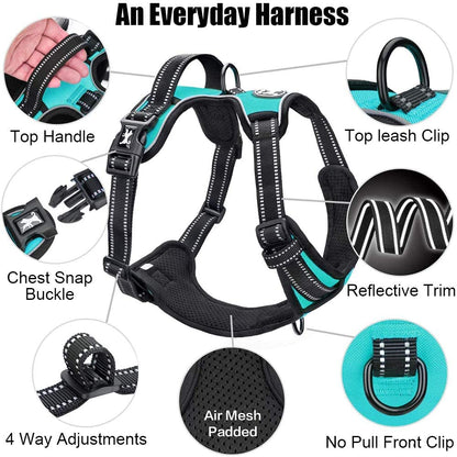 Medium No-Pull Dog Harness with Reflective Vest, Front Clip & Handle | Adjustable, Breathable Oxford Material, Soft Padding, Easy On/Off Design, Two Leash D-Rings, Ideal for Walking and Training, Mint Blue