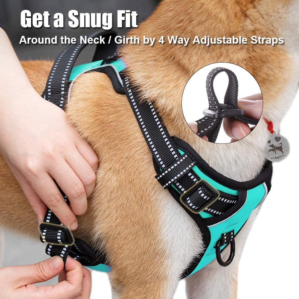 Medium No-Pull Dog Harness with Reflective Vest, Front Clip & Handle | Adjustable, Breathable Oxford Material, Soft Padding, Easy On/Off Design, Two Leash D-Rings, Ideal for Walking and Training, Mint Blue