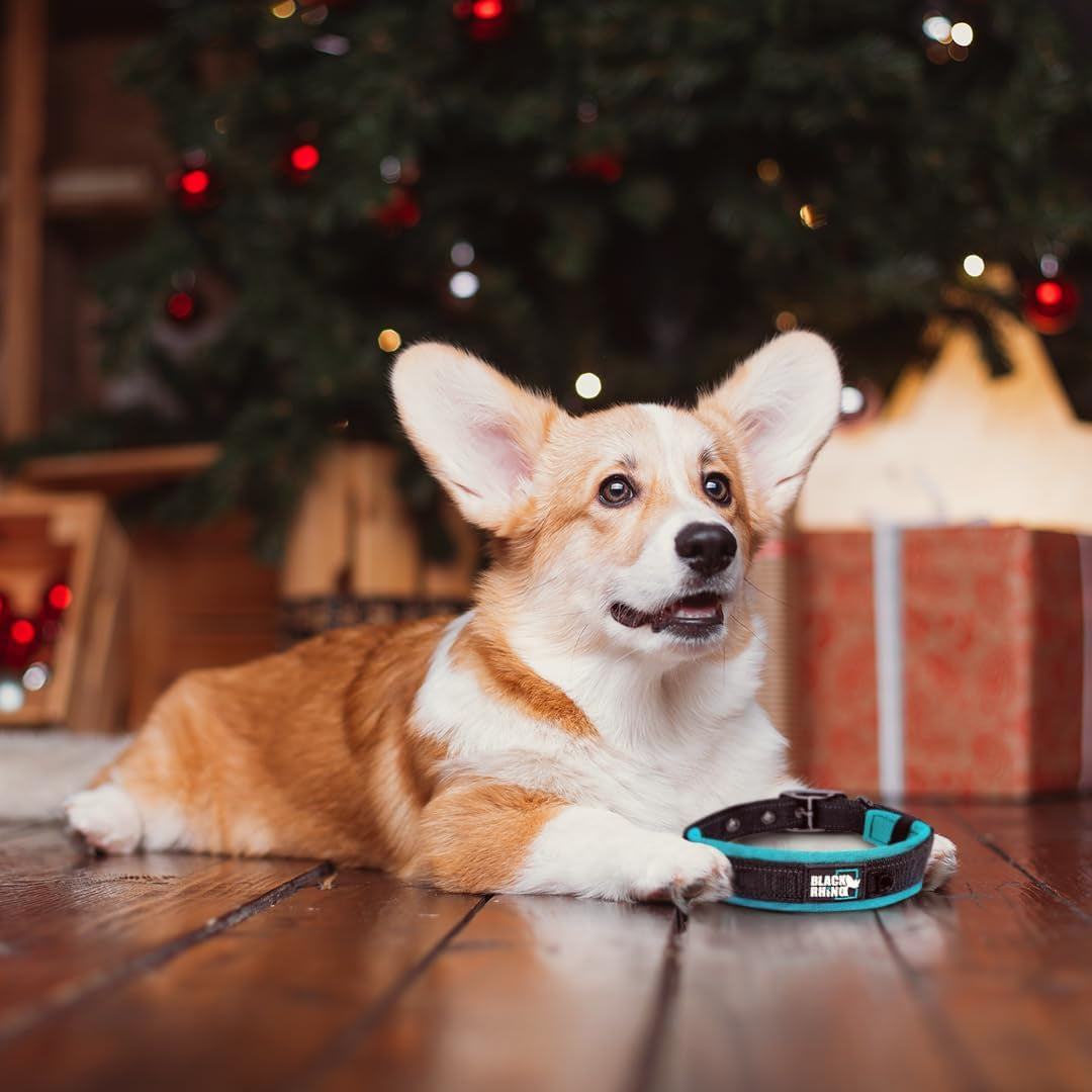 Medium Dog Collars - Adjustable Reflective Heavy-Duty Collar with Ultra-Soft Neoprene Padding - Weatherproof, Durable, and Comfortable - Perfect for Active Dogs - Blue and Gray