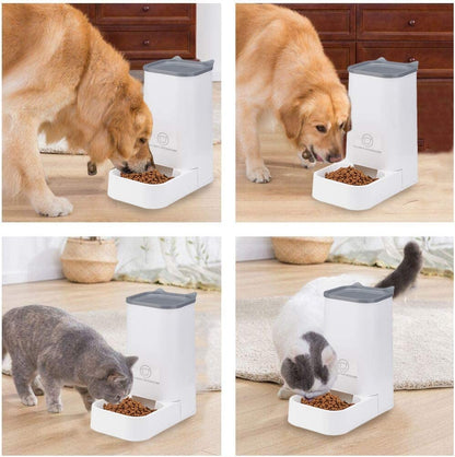 Automatic Pet Feeder and Water Dispenser Set - 1-Gallon Water Capacity and 2.1Kg Food Storage, Self-Dispensing Polypropylene Design for Cats and Dogs