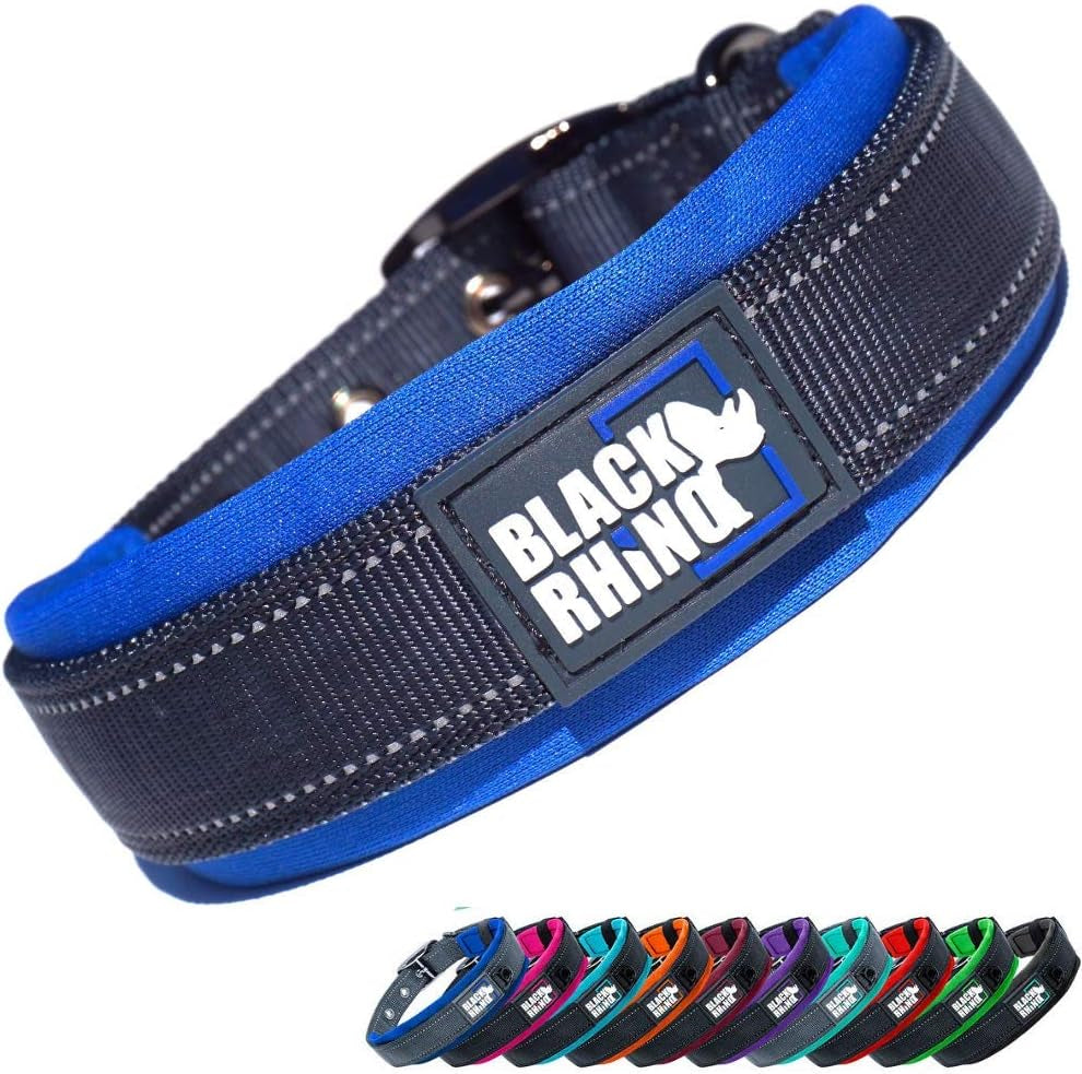 Medium Dog Collars - Adjustable Reflective Heavy-Duty Collar with Ultra-Soft Neoprene Padding - Weatherproof, Durable, and Comfortable - Perfect for Active Dogs - Blue and Gray