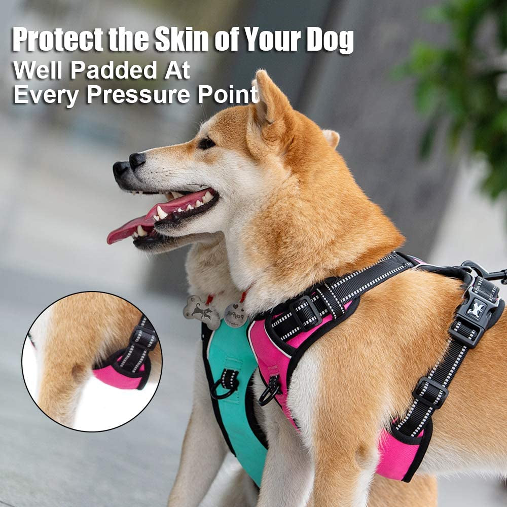Medium No-Pull Dog Harness with Reflective Vest, Front Clip & Handle | Adjustable, Breathable Oxford Material, Soft Padding, Easy On/Off Design, Two Leash D-Rings, Ideal for Walking and Training, Mint Blue
