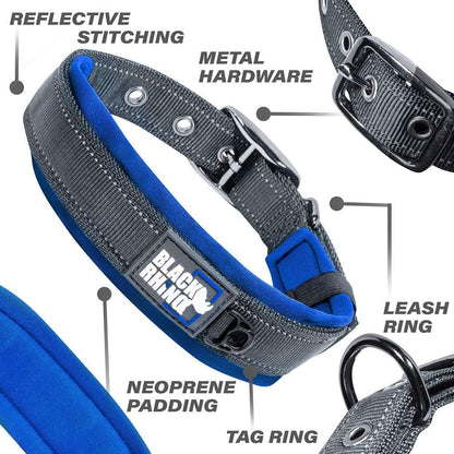 Medium Dog Collars - Adjustable Reflective Heavy-Duty Collar with Ultra-Soft Neoprene Padding - Weatherproof, Durable, and Comfortable - Perfect for Active Dogs - Blue and Gray