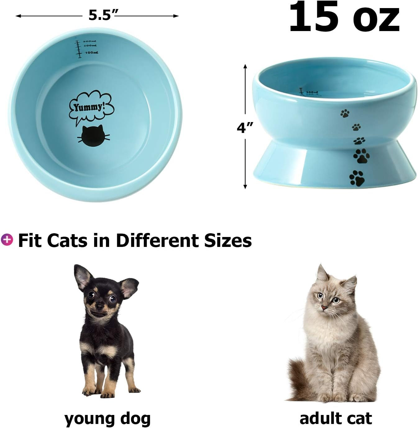 Ceramic 15-Ounce Slanted Cat Food and Water Bowl in Lake Blue