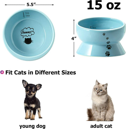 Ceramic 15-Ounce Slanted Cat Food and Water Bowl in Lake Blue