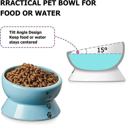 Ceramic 15-Ounce Slanted Cat Food and Water Bowl in Lake Blue