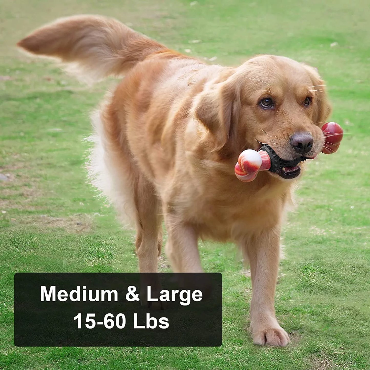 Durable Interactive Dog Toy for Aggressive Chewers - Indestructible Bone Design for Medium to Large Dogs by Dinosam