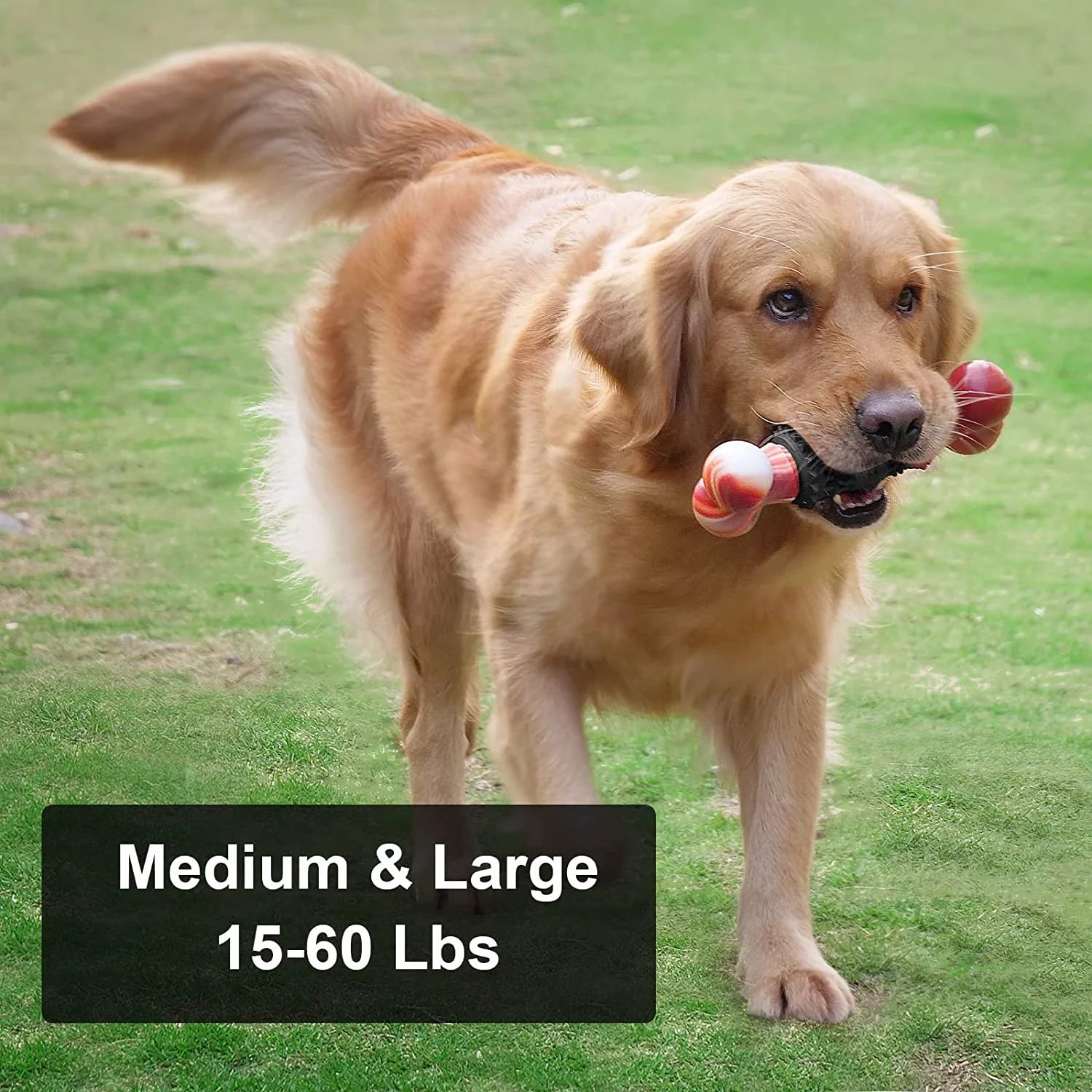 Durable Interactive Dog Toy for Aggressive Chewers - Indestructible Bone Design for Medium to Large Dogs by Dinosam