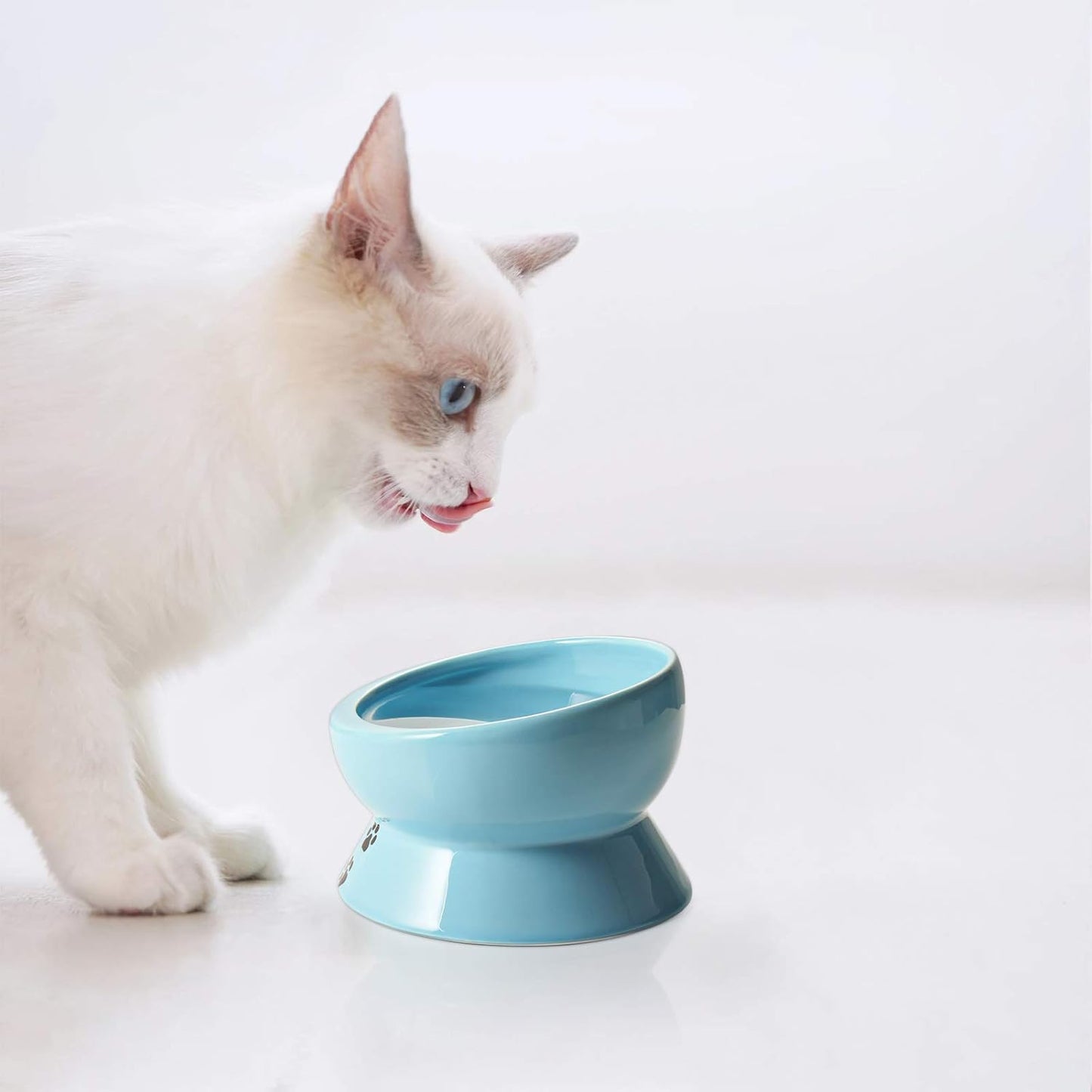 Ceramic 15-Ounce Slanted Cat Food and Water Bowl in Lake Blue