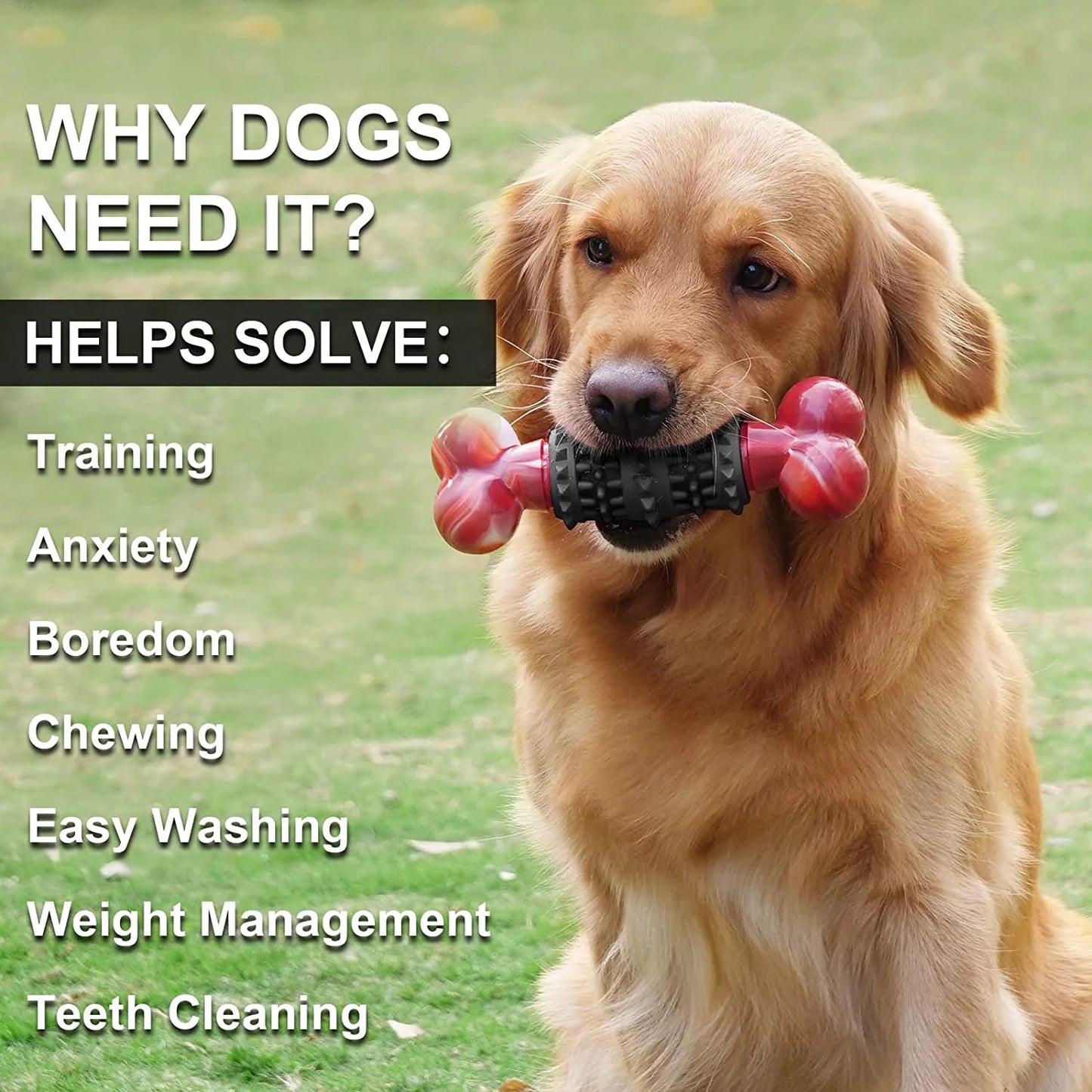 Durable Interactive Dog Toy for Aggressive Chewers - Indestructible Bone Design for Medium to Large Dogs by Dinosam