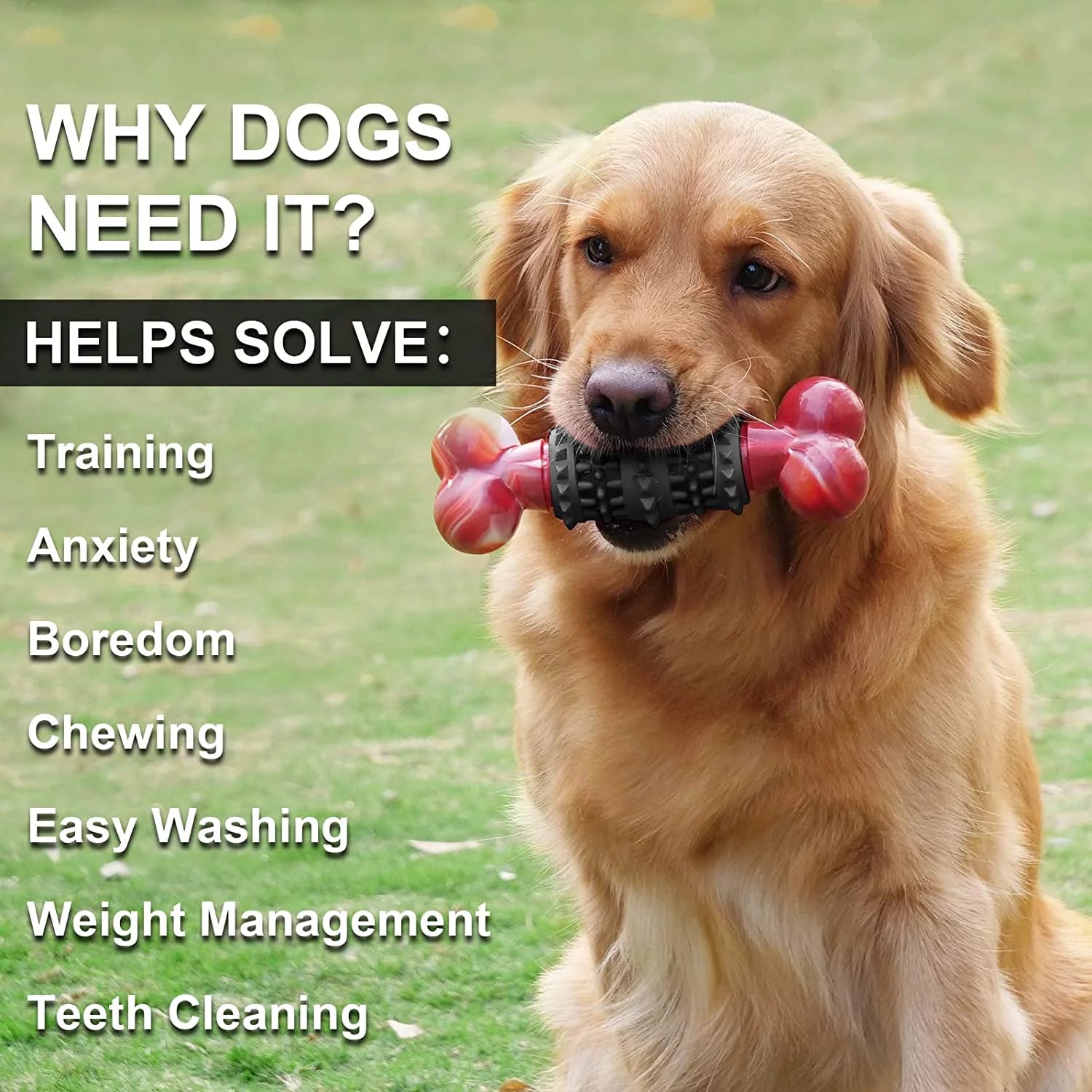 Durable Interactive Dog Toy for Aggressive Chewers - Indestructible Bone Design for Medium to Large Dogs by Dinosam
